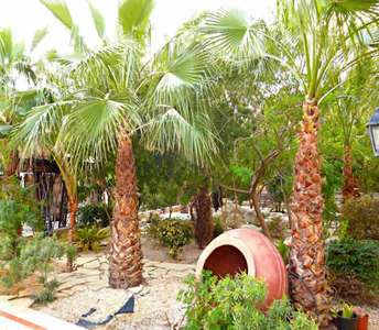 Недвижимость на продажу в Ларнаке