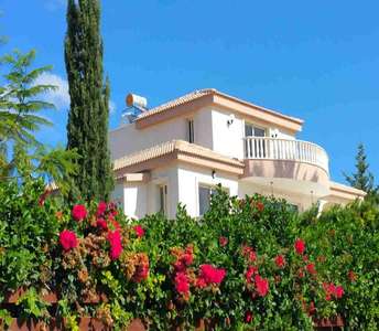 Real estate in Paphos