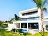 Limassol elegant villa of modern design