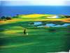 properties in golf Paphos Cyprus
