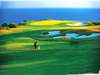 Кипр Пафос дом на большом участке на гольф-курорте